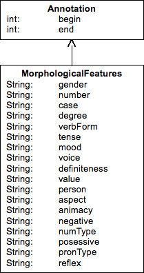 ts morphology